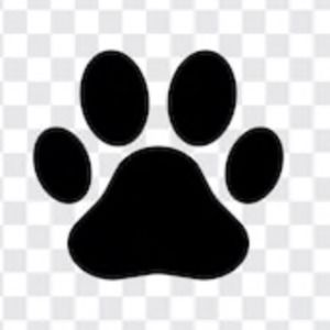 Meet your Posher, Autumn